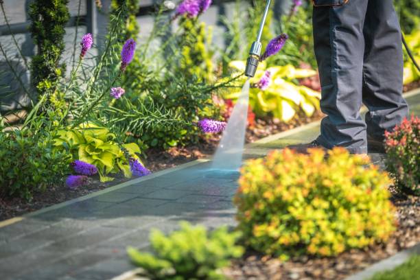Trusted Feather Sound, FL Pressure Washing Services Experts