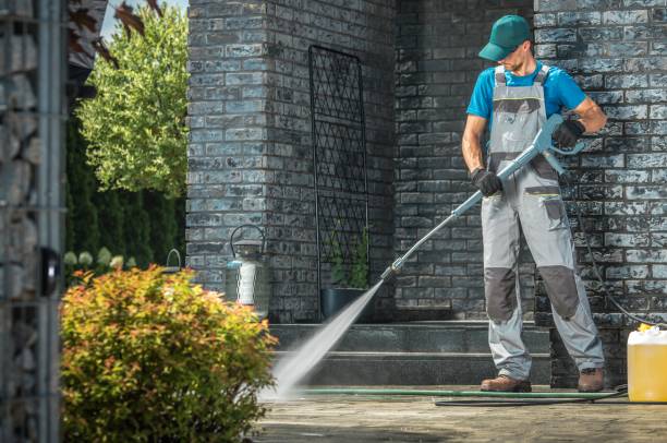 Best Animal Enclosure Cleaning  in Feather Sound, FL