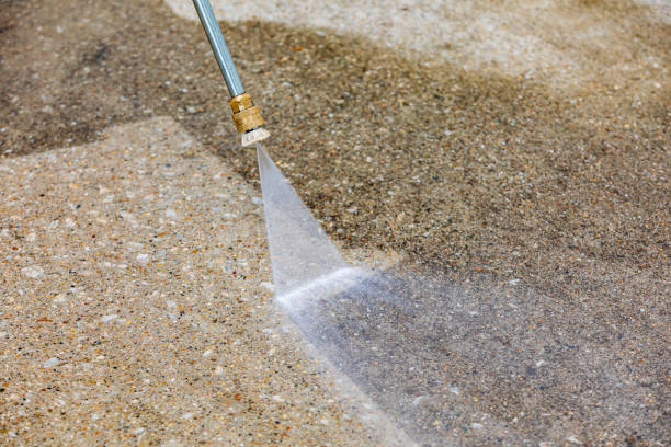 Best Warehouse Cleaning  in Feather Sound, FL