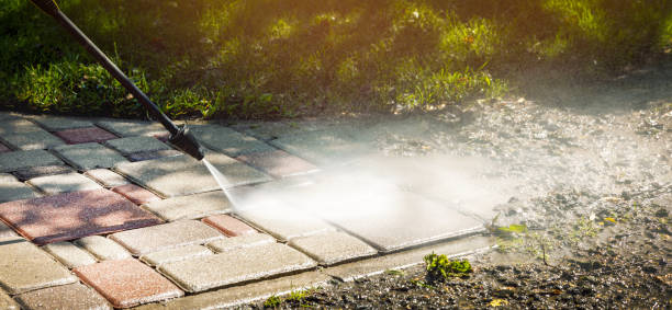 Best Driveway Pressure Washing  in Feather Sound, FL