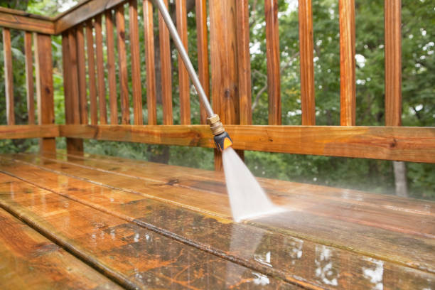 Best Sidewalk and Walkway Cleaning  in Feather Sound, FL
